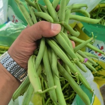 青刀豆