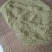 我用手工采摘纯净，优质好槐米