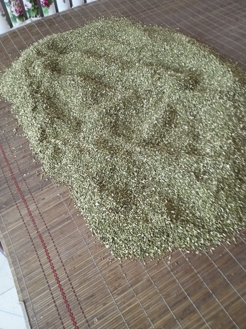 我用手工采摘纯净，优质好槐米
