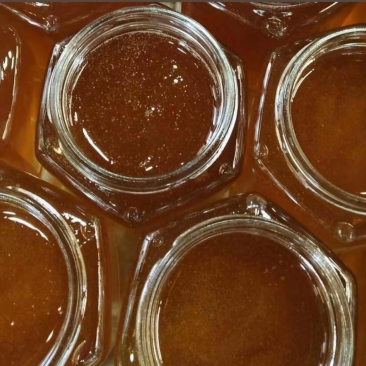 蜂蜜🍯