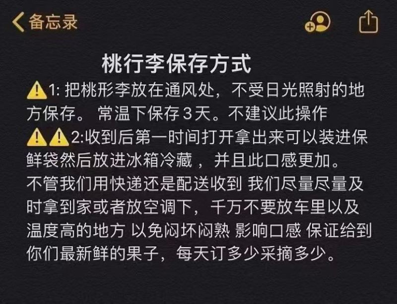 桃形李小果中果大果特大果，统货都有量大从欢迎骚扰