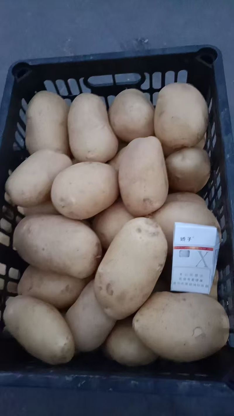 洋葱，土豆，