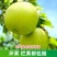 砀山2025头茬翠冠梨原产地直发现采