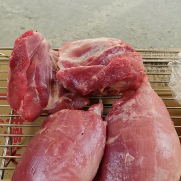 新鲜猪肉