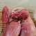 新鲜猪肉