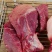 新鲜猪肉