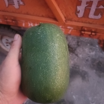迷你小东瓜