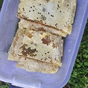 湖南蜂蜜