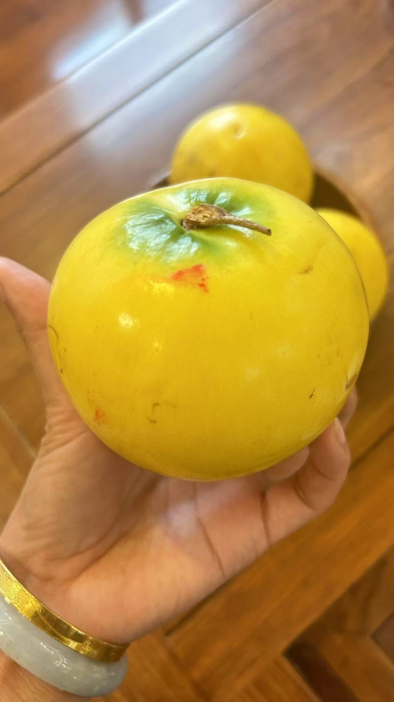 黄晶果