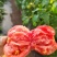 瑞丰813🍅西红柿