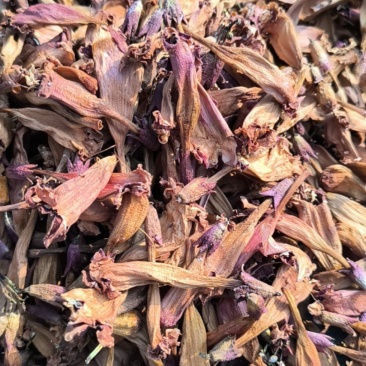 凌霄花