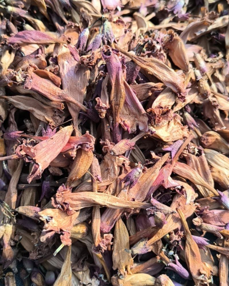凌霄花