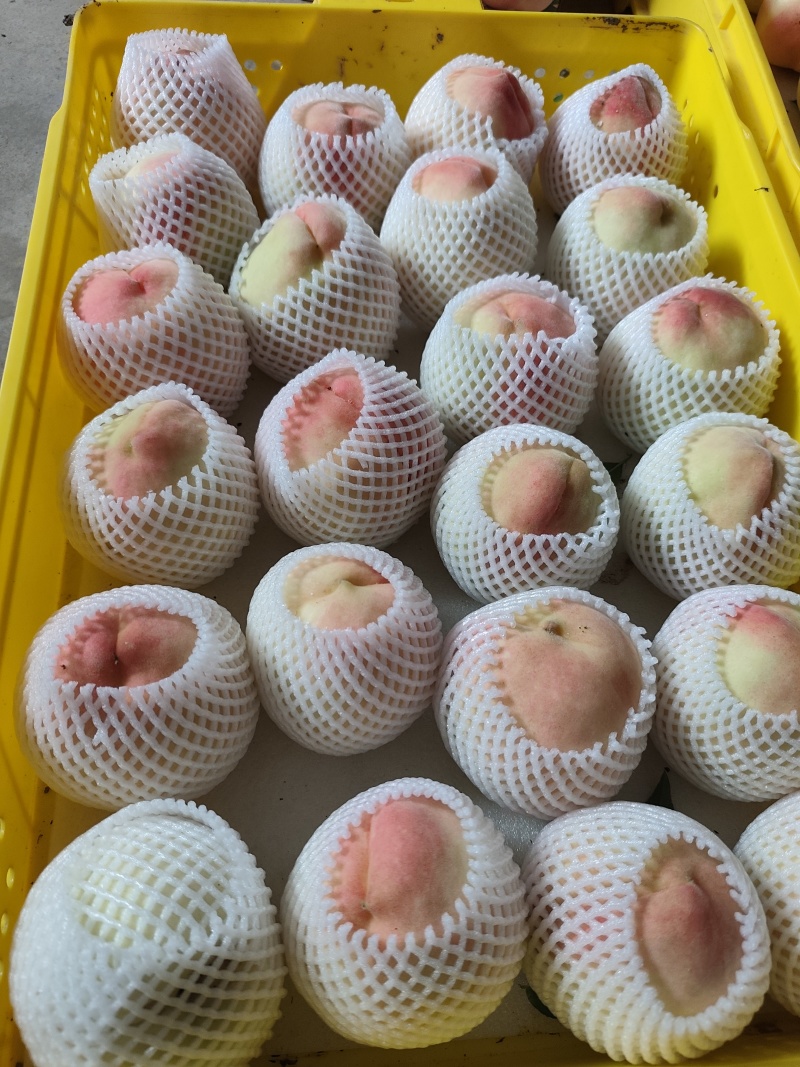 水蜜桃