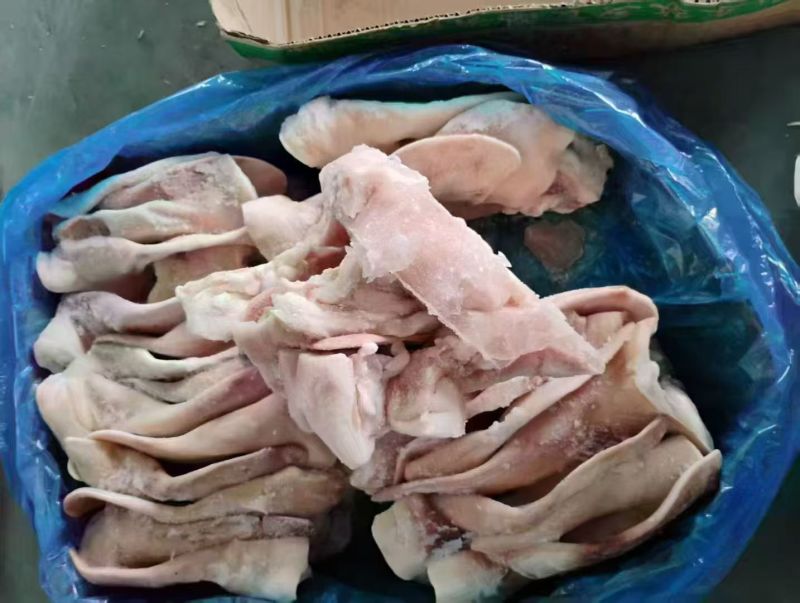 肥猪二级耳朵，10吨，天天生产。临沂提