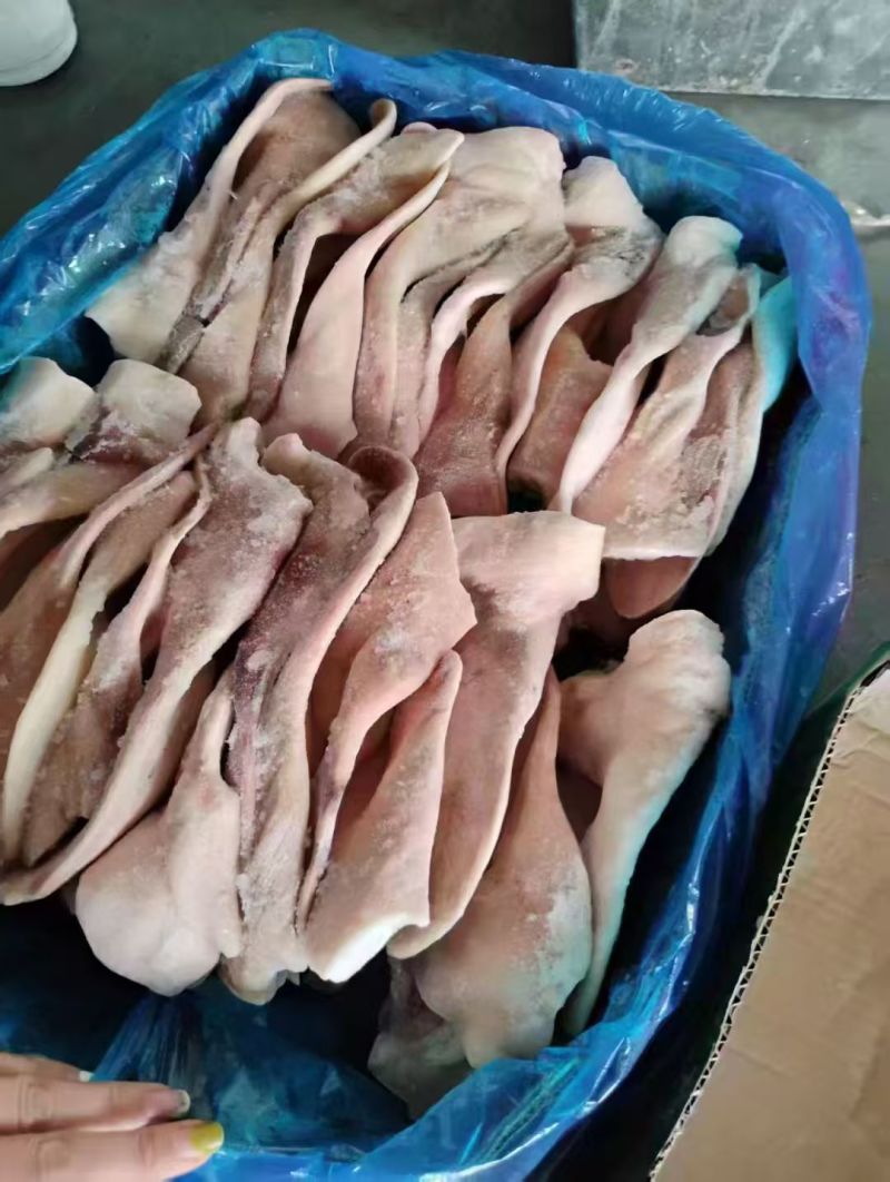 肥猪二级耳朵，10吨，天天生产。临沂提