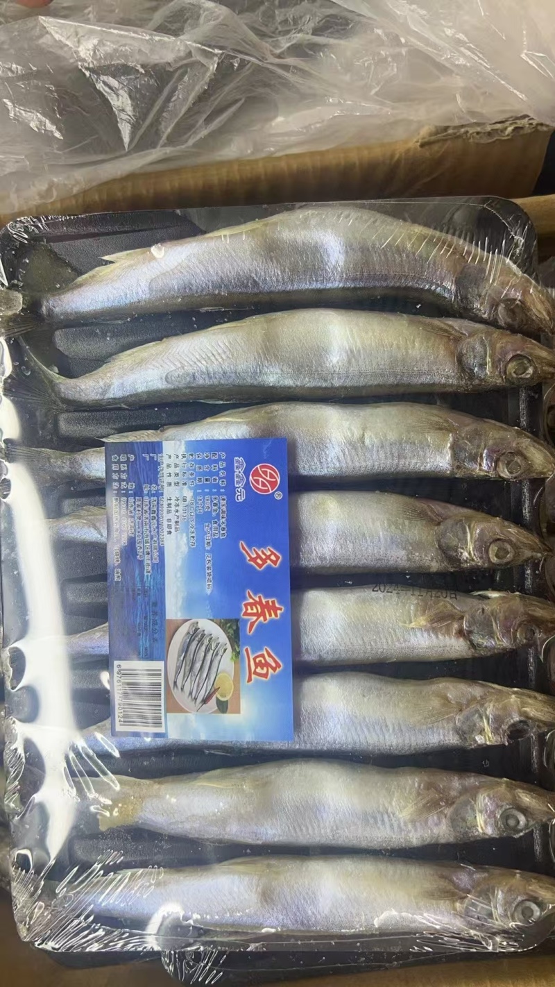 品名：多春鱼规格：一盒8条大小规格都有