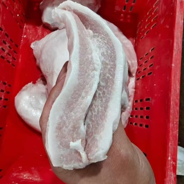 肥猪37肉青