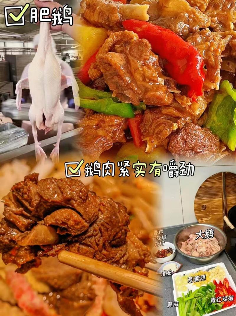 黄河大鹅厂家直销量大从优