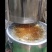 出售土蜂蜜