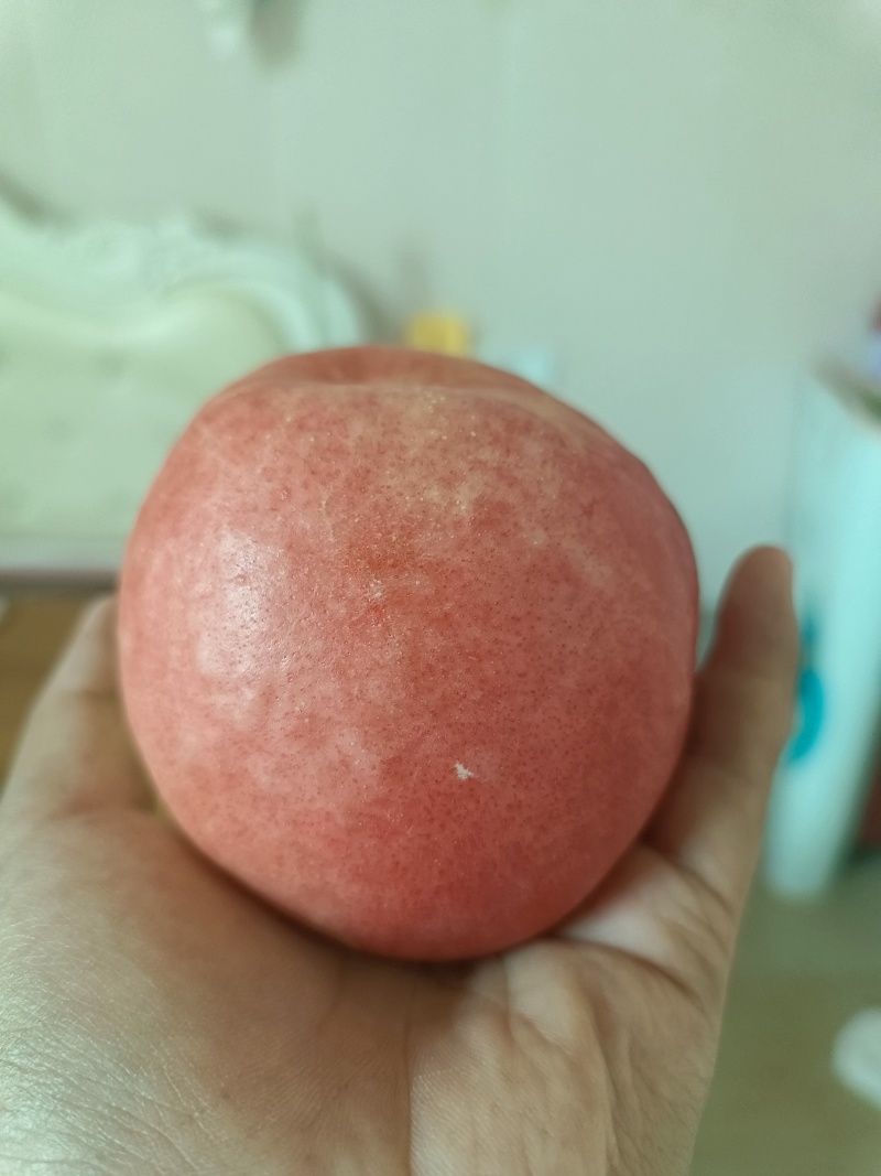 油桃20