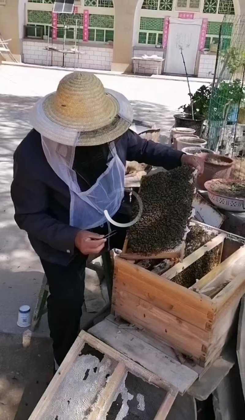 出售土蜂蜜