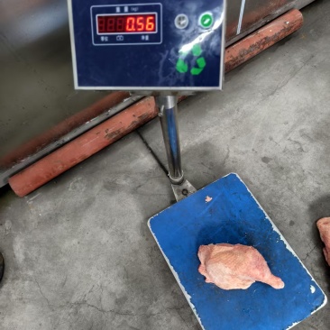 二级种鸡排腿有货
