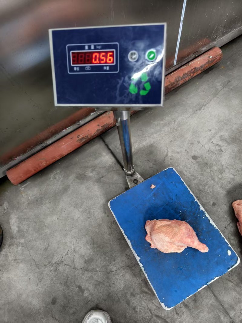 二级种鸡排腿有货