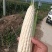 甜糯玉米