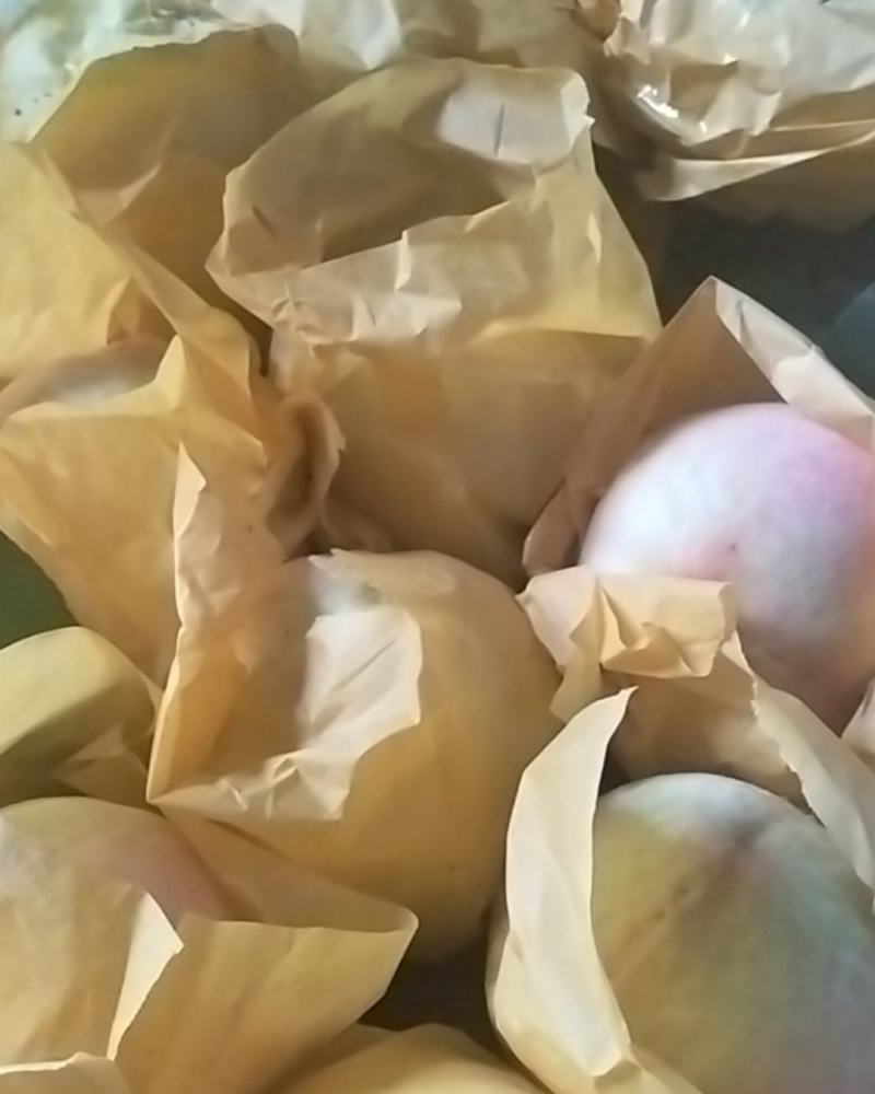 阳山水蜜桃