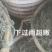 【推荐】小白沙鲜花生大白沙小鲁花湿花生大量批发市场电商档口加