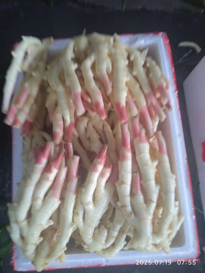 纳米肥种植全套方案优质生姜，需要的联系