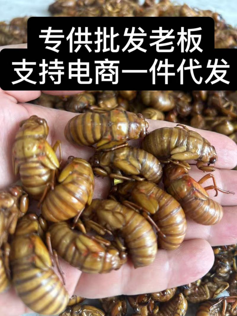 金蝉知了猴，**批发老板，电商一件代发！