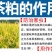 茶粕清塘杀杂鱼不伤虾蟹茶枯粉水产养殖批发100斤袋装茶麸茶