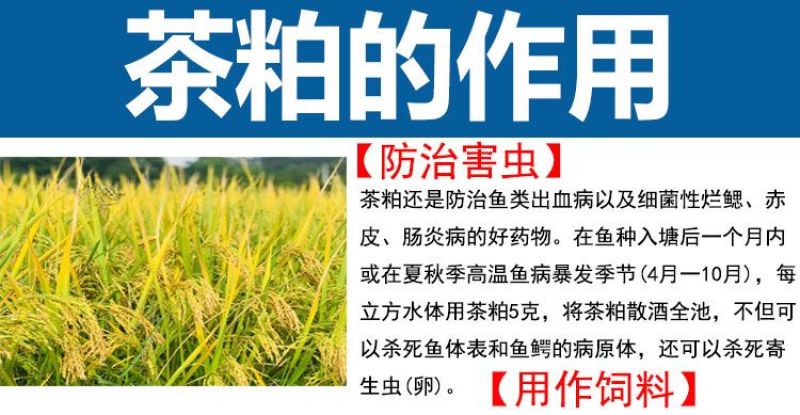 茶粕清塘杀杂鱼不伤虾蟹茶枯粉水产养殖批发100斤袋装茶麸茶