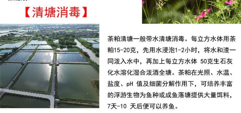 茶粕清塘杀杂鱼不伤虾蟹茶枯粉水产养殖批发100斤袋装茶麸茶