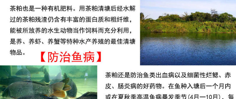 茶粕清塘杀杂鱼不伤虾蟹茶枯粉水产养殖批发100斤袋装茶麸茶