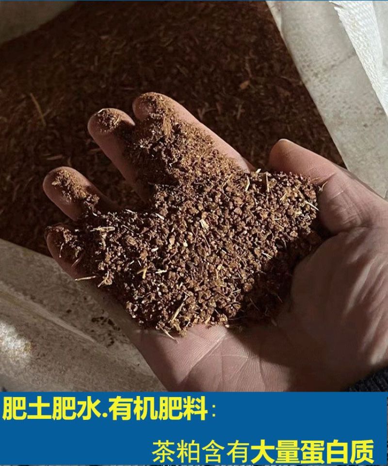 茶粕清塘杀杂鱼不伤虾蟹茶枯粉水产养殖批发100斤袋装茶麸茶