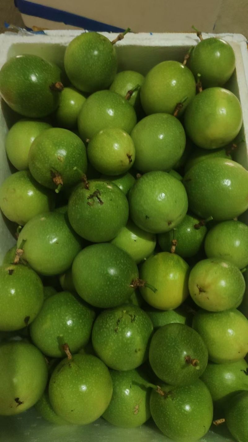 福建龙岩百香果