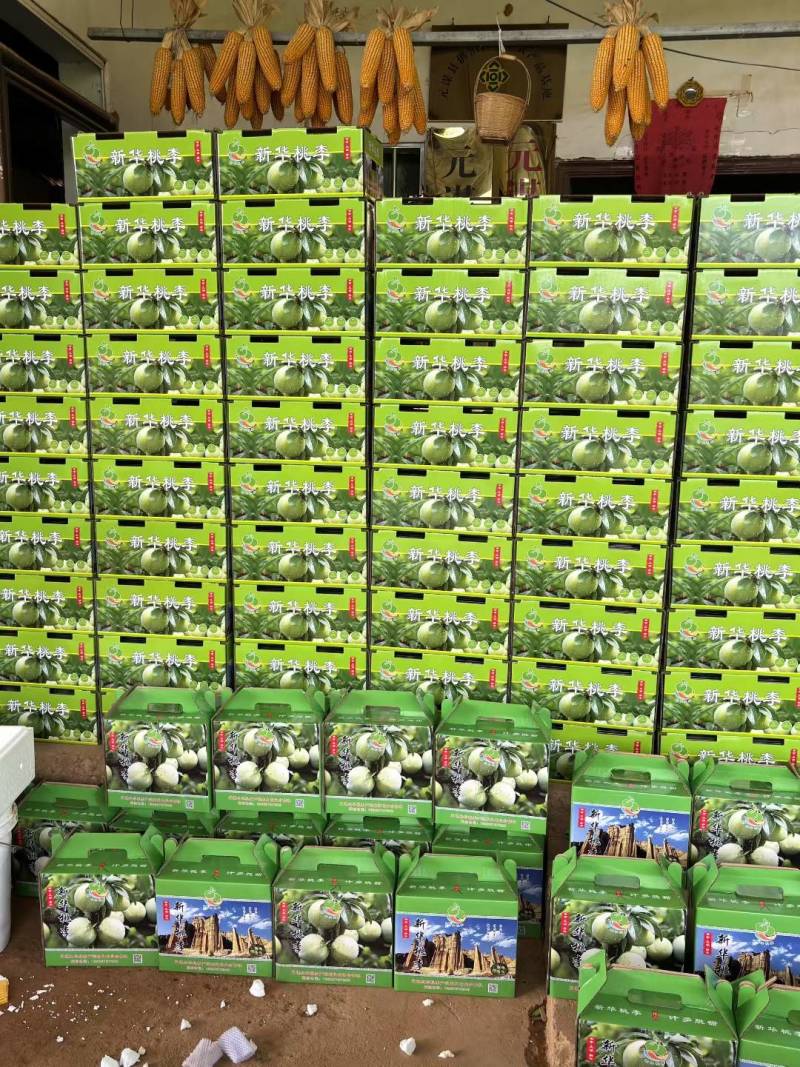 云南省楚雄州元谋县新华桃李