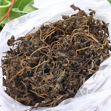 马齿笕