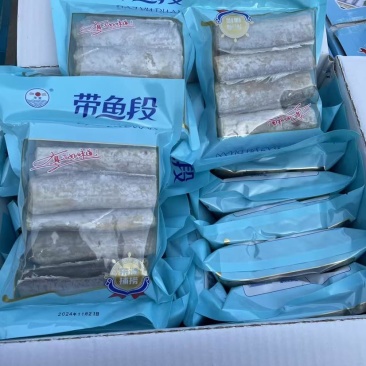带鱼段
