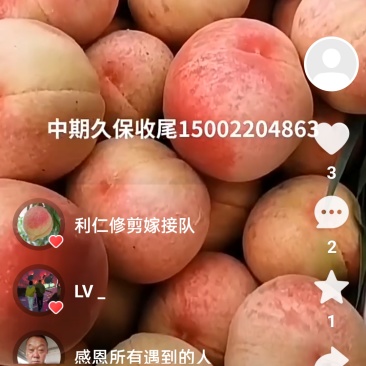 天津市武清区久保蜜桃