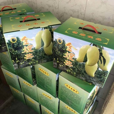 金皇芒果