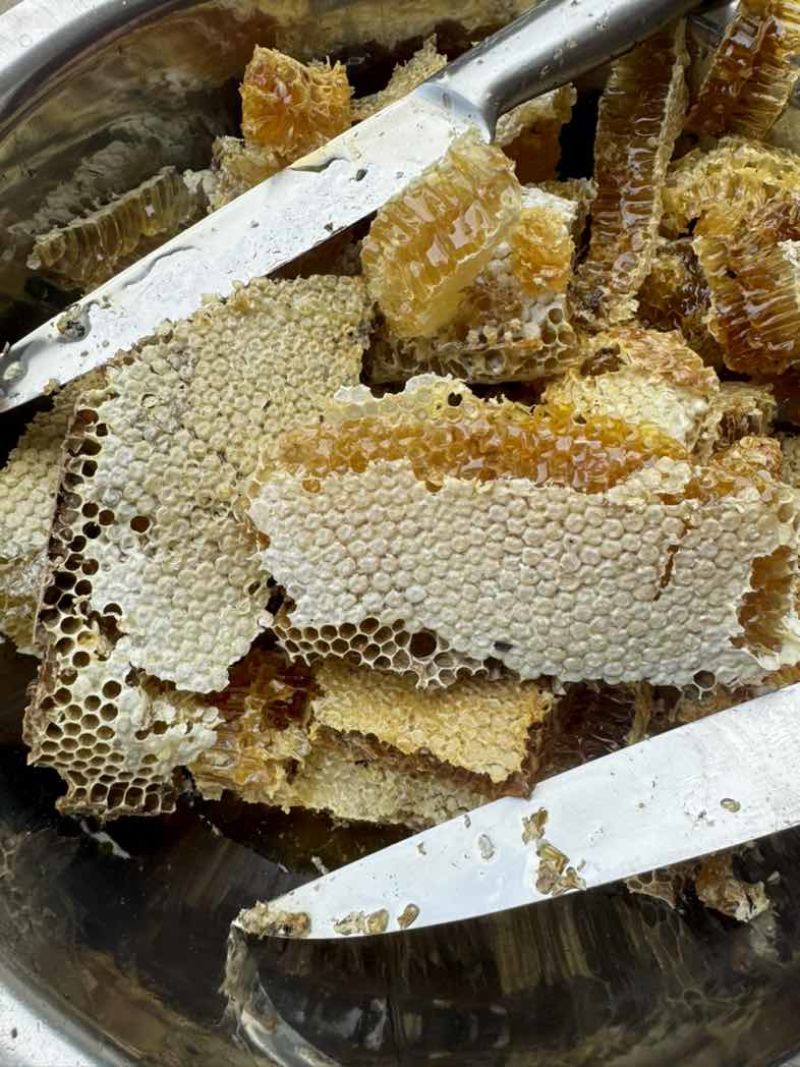 恩施土蜂蜜
