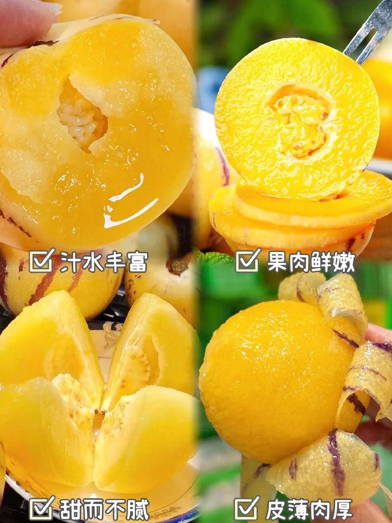 云南石林人参果