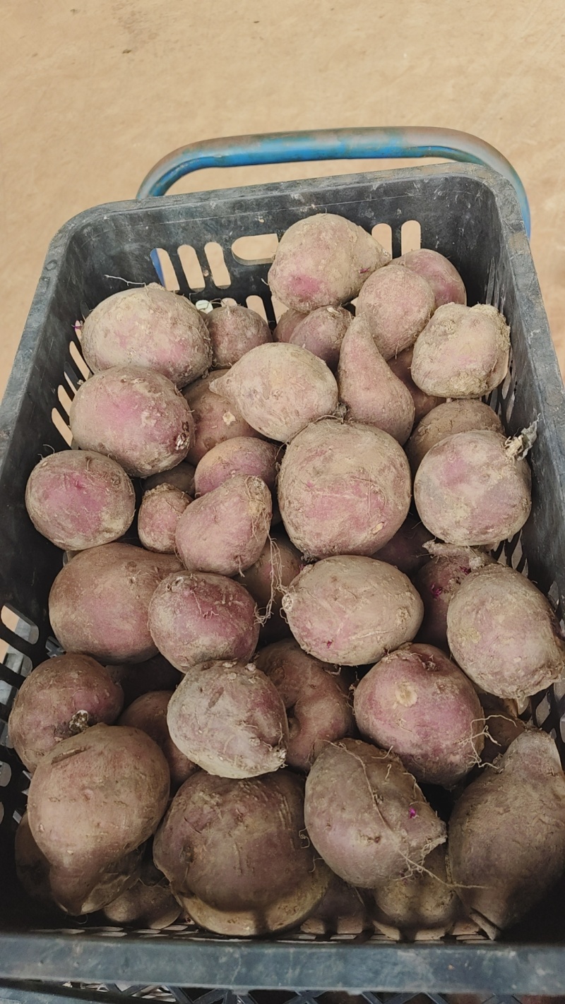 榴莲蜜薯