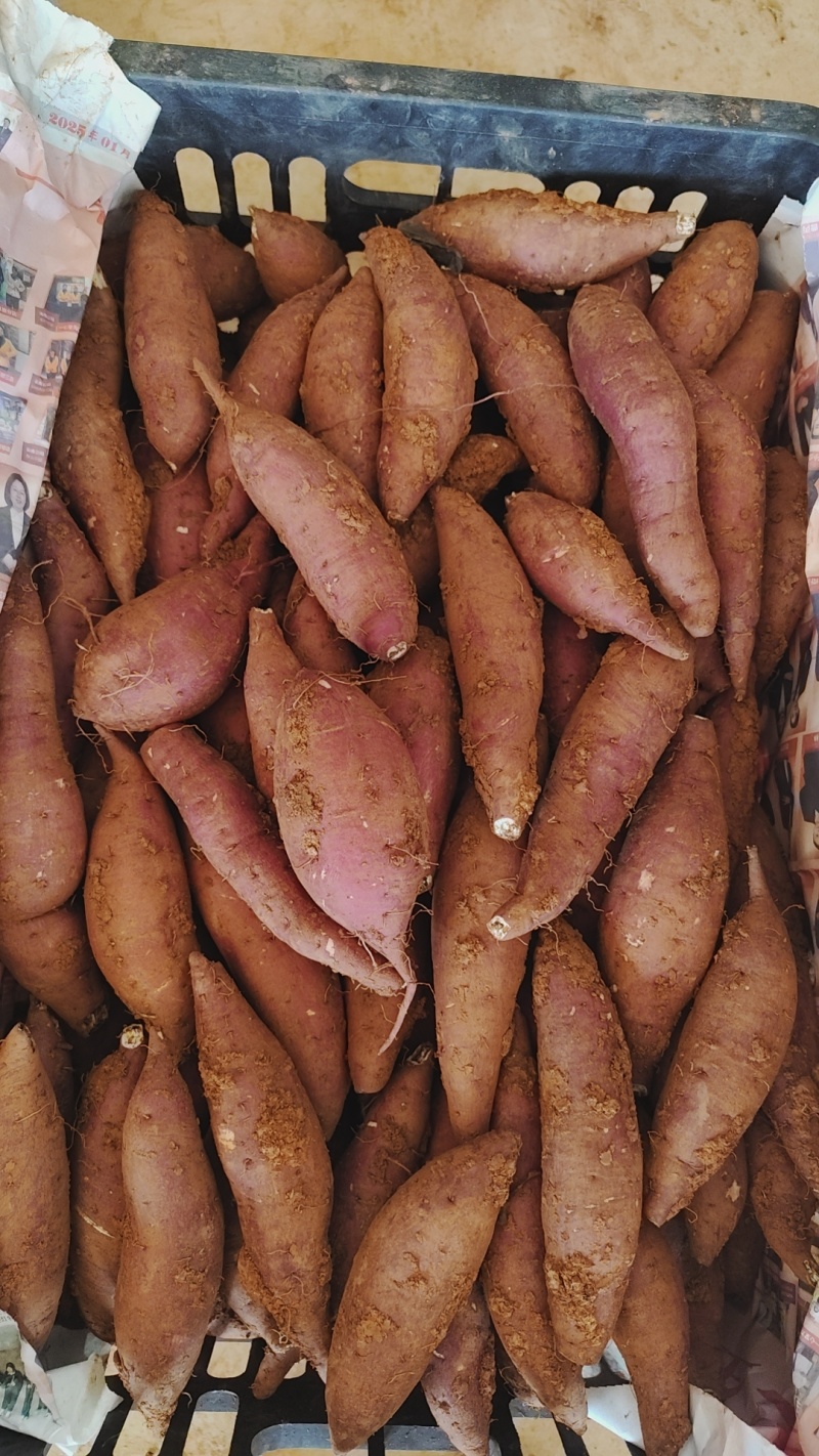 榴莲蜜薯