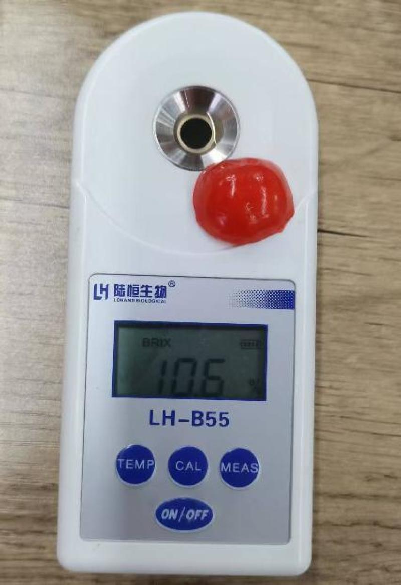 安宁红石小番茄鲜果