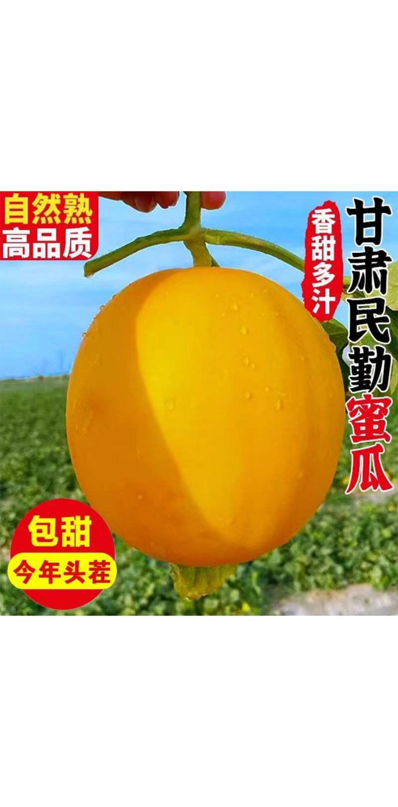 甘肃民勤蜜瓜正宗沙漠当季【净重6斤】