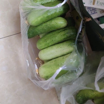 黄瓜